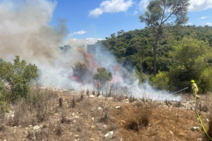 חשד להצתות מכוונות ביערות הכרמל: תושב חיפה בן 60 נעצר ליד כלא דמון