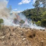 חשד להצתות מכוונות ביערות הכרמל: תושב חיפה בן 60 נעצר ליד כלא דמון
