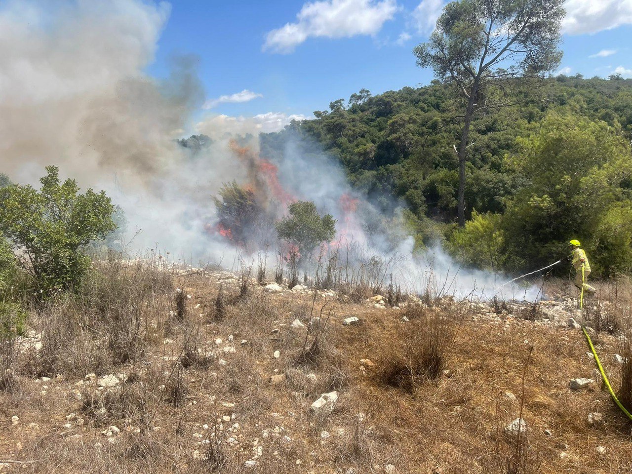 חשד להצתות מכוונות ביערות הכרמל: תושב חיפה בן 60 נעצר ליד כלא דמון