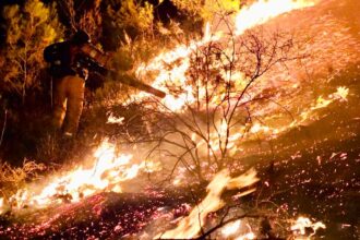 שריפה פרצה ביער ביריה בעקבות ירי של כ- 20 רקטות מלבנון; כוחות כיבוי פעלו להשתלטות